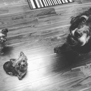 Meet your Posher, Eric